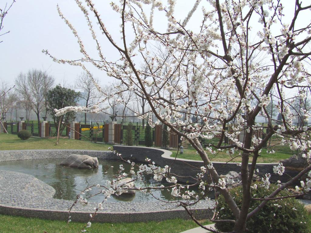 Green Park Hotel Tianjin Binhai  Zewnętrze zdjęcie